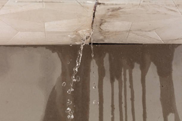 Professional Flood Damage Cleanup technician working in Red Bud, IL
